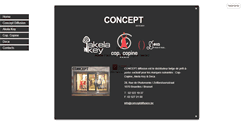 Desktop Screenshot of conceptdiffusion.be